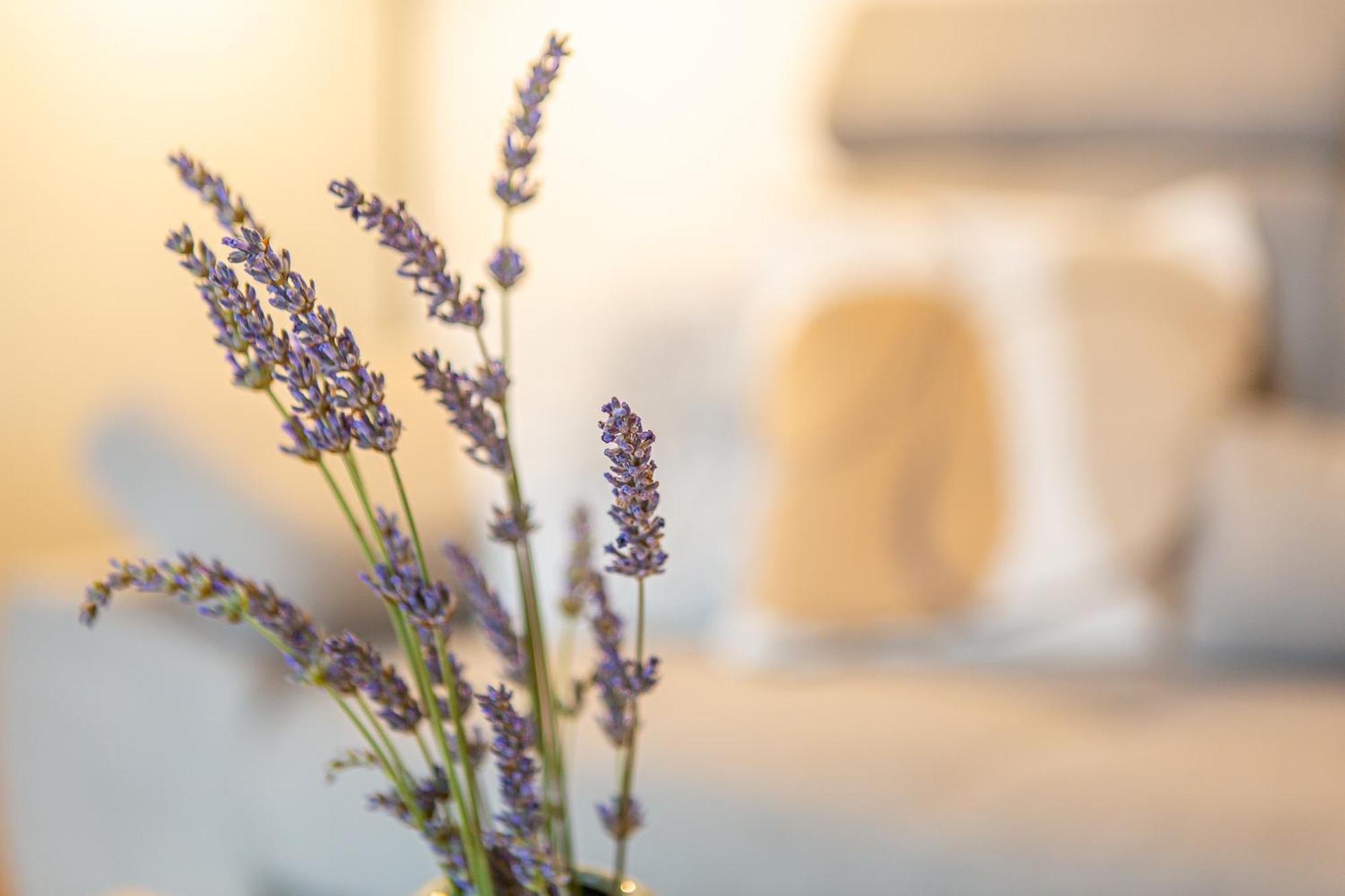 Mostar Bliss Apartment Εξωτερικό φωτογραφία